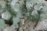 Zoned Apophyllite Crystals Cluster with Stilbite - India #44426-2